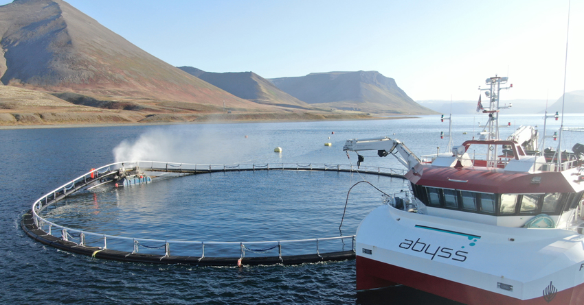 Notvask i Vestfjordene ved Island.